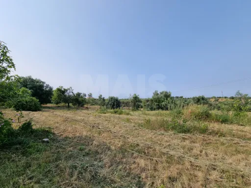 Terreno Misto com Ruina em TORRES NOVAS