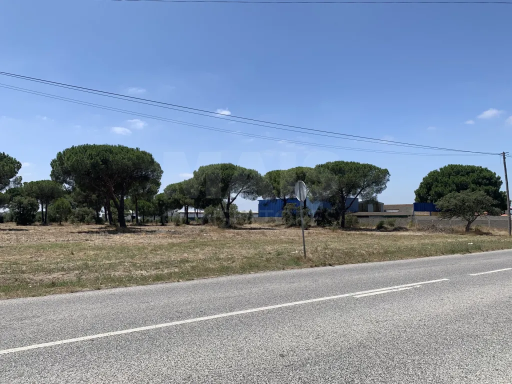 Terreno Rústico em Benavente