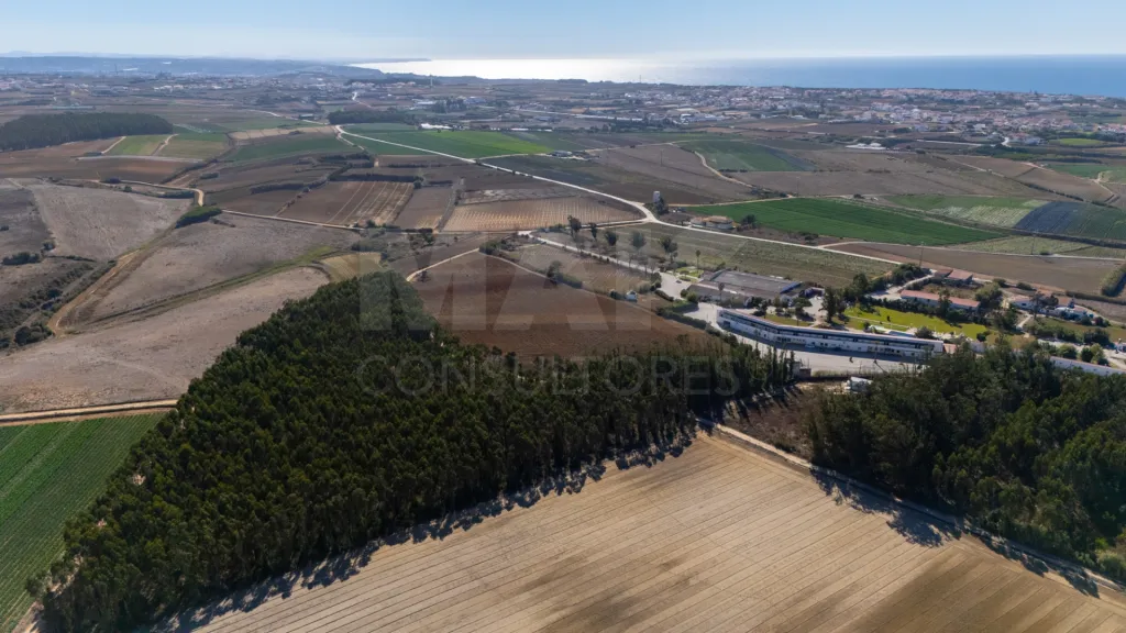 Parcela de terreno rústico de 2.350m2 em Atouguia da Baleia