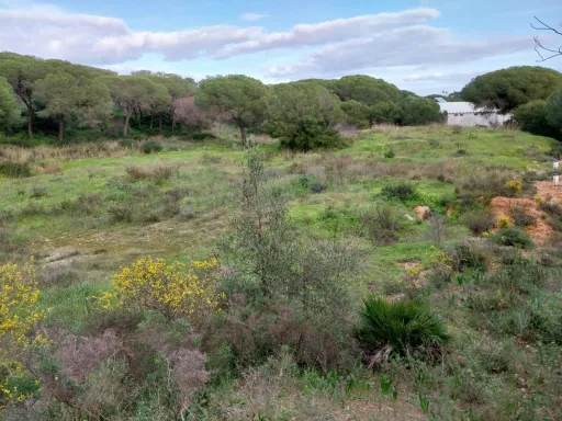 Lote de terreno Rustico com bom acesso e eletricidade