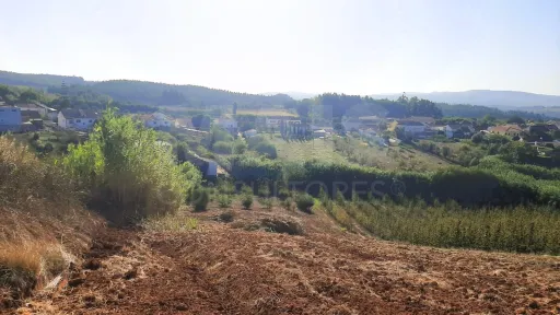 Terreno 2560 m2 Peral/Cadaval