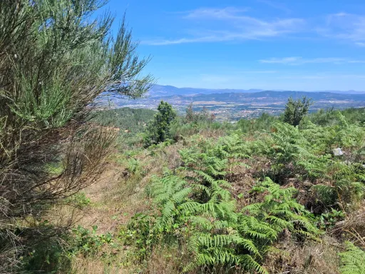 Terreno Misto com Ruína - Alcongosta, Fundão, Portugal