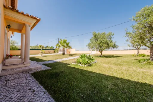 Moradia T3 Térrea com jardim e árvores de fruto