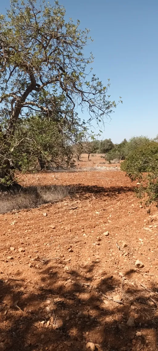 Terreno urbano com ruina / rustico