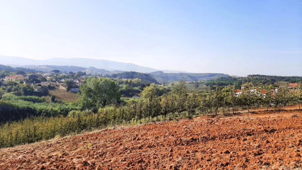 Terreno 2560 m2 Peral/Cadaval