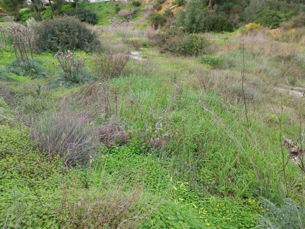 Lote de terreno Rustico com bom acesso e eletricidade