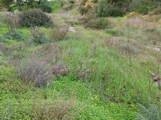 Lote de terreno Rustico com bom acesso e eletricidade
