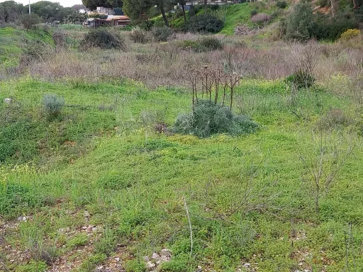 Lote de terreno Rustico com bom acesso e eletricidade