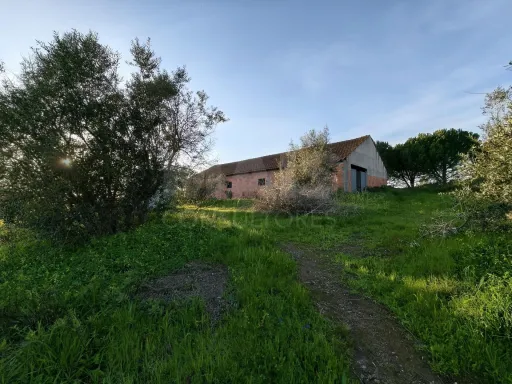 Moradia T2+1 c/ Anexo & Armazém em Lote de 7.600m2