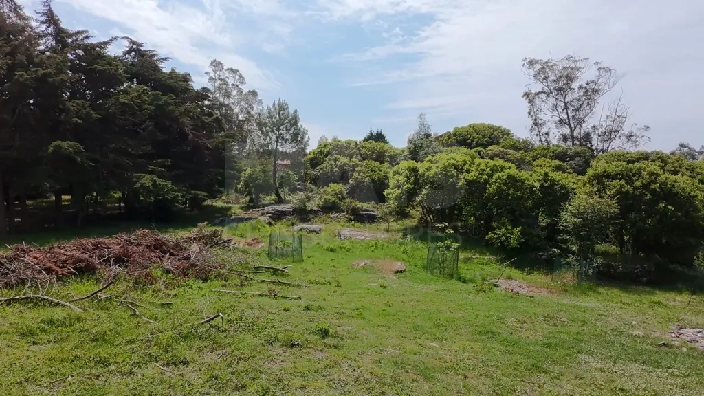 2 Terrenos Confinantes  