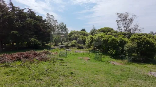 2 Terrenos Confinantes  