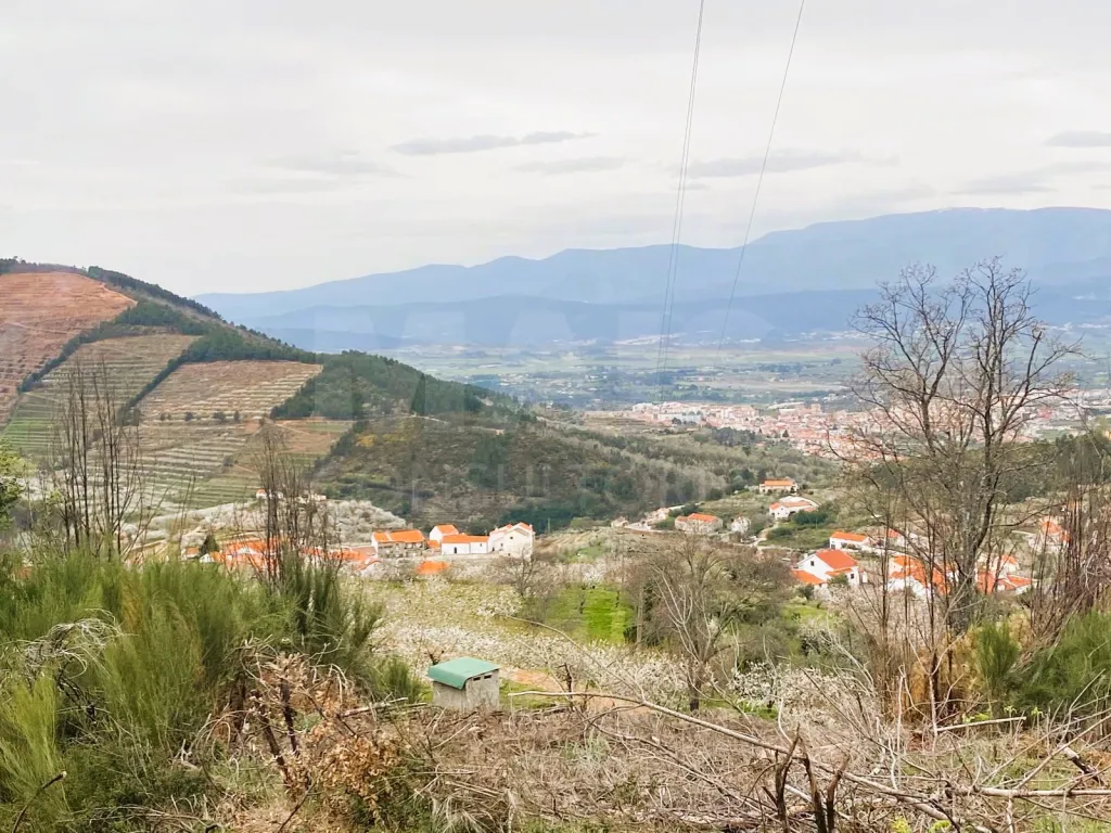 Terreno Misto com Ruína - Alcongosta, Fundão, Portugal