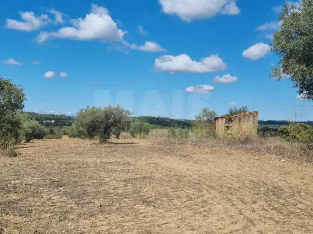 Terreno Rustico CASALINHO -MOURISCAS
