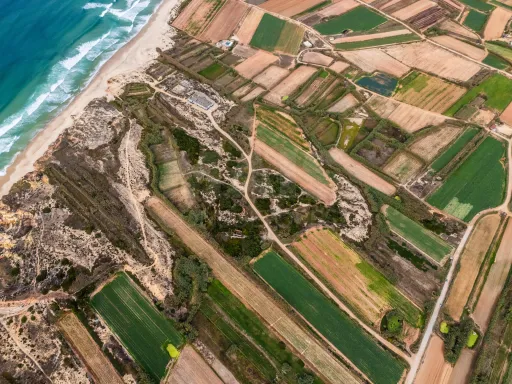 🏝️ Terreno Rústico em  Ferrel (Peniche)