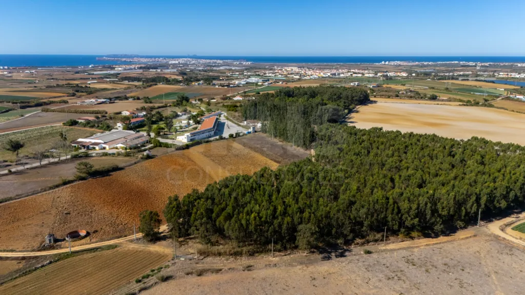 Parcela de terreno rústico de 2.350m2 em Atouguia da Baleia