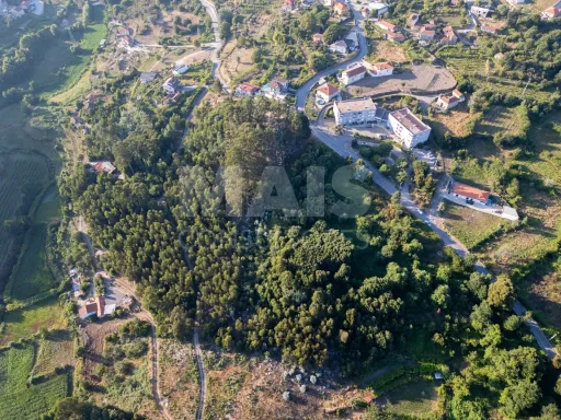 Grande Terreno em Penafiel (14.170 m²)