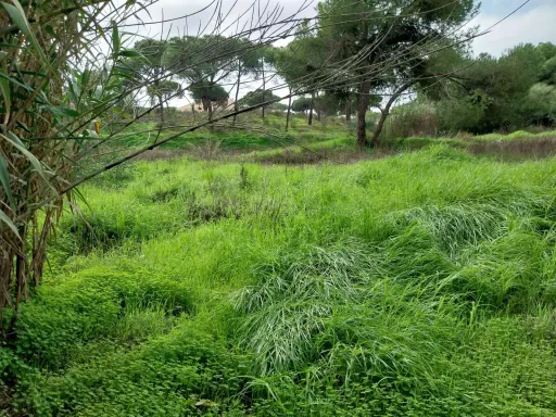 Lote de terreno em Vale Verde Almancil