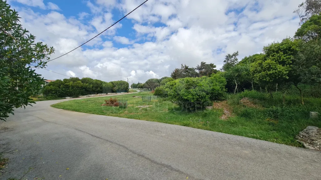 Terreno com 2 280m² em Cezaredas – Oportunidade Única!