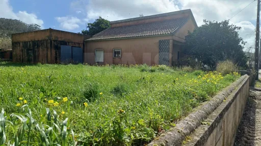 Moradia T3 em Sapataria, com terreno urbano de 4000m2