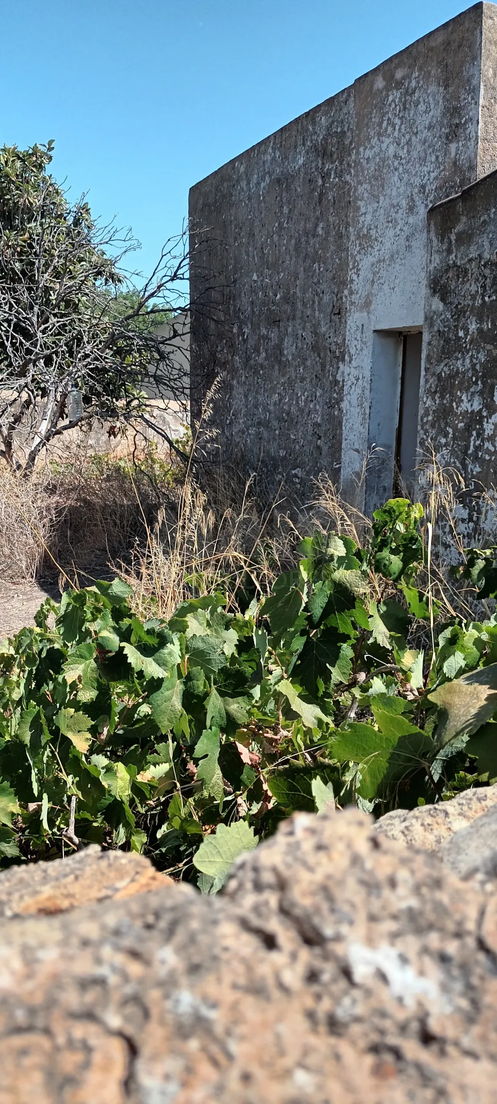 Terreno urbano com ruina / rustico
