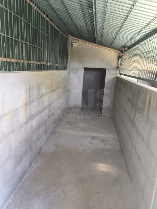 Propriedade com Piscina e Instalações Equestres – Um Refúgio Tranquilo com Potencial de Expansão