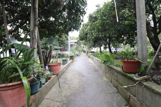 Moradia Térrea T2+1 com Garagem, sótão e terreno com 500 m2 em Vale Mansos, Coruche