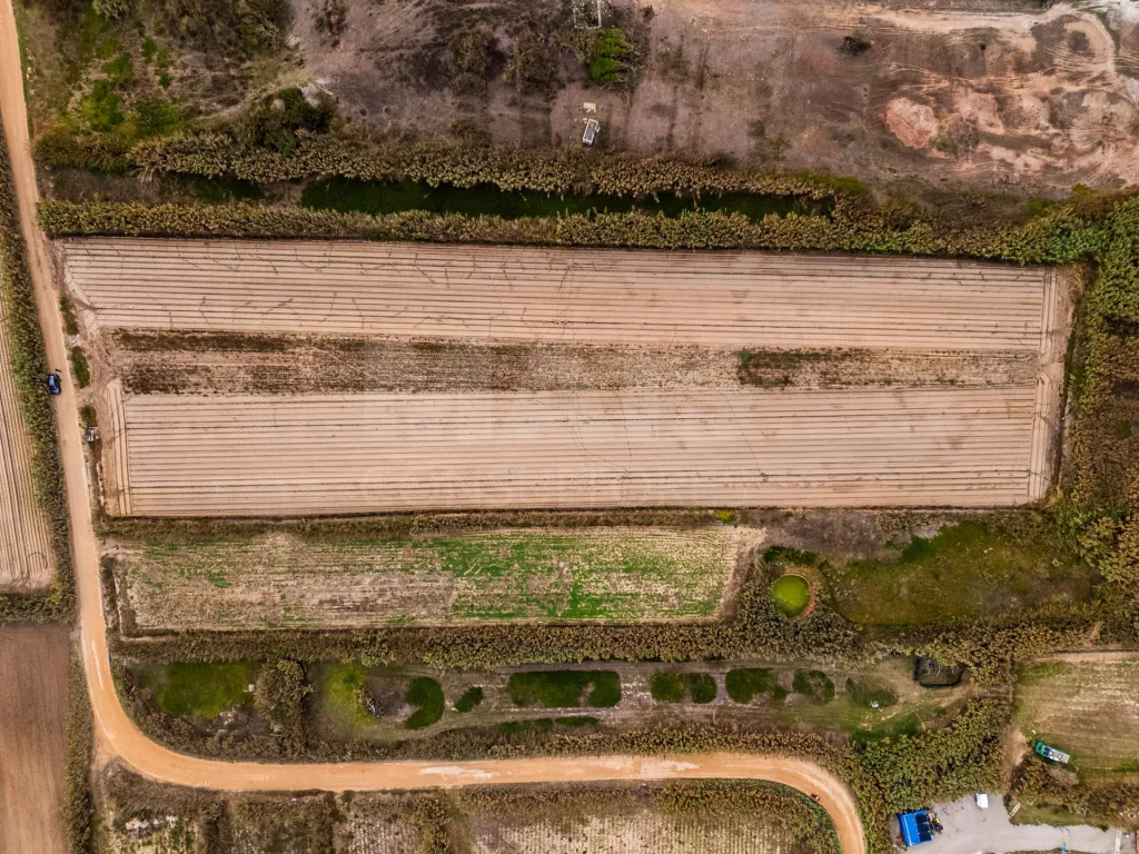 Terreno rústico com 5.600 m², localizado em Ferrel