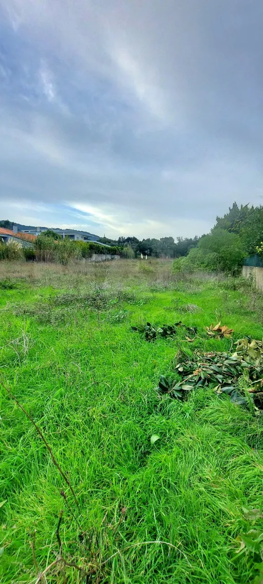 Terreno c/ Projeto Arq. Contemporânea na Beloura Sintra