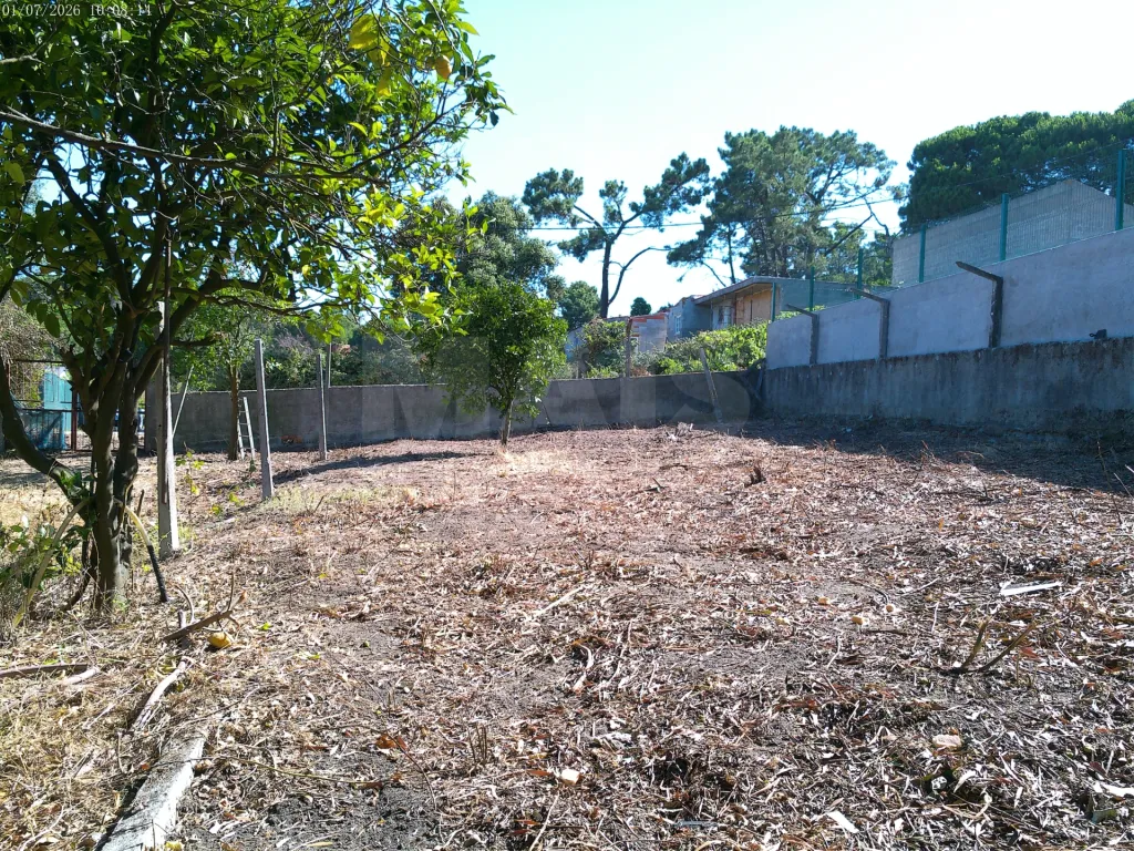 Terreno Rústico, Quinta da Oliva - Charneca da Caparica