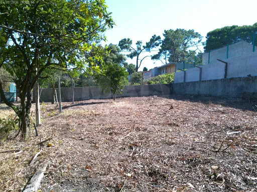 Terreno Rústico, Quinta da Oliva - Charneca da Caparica